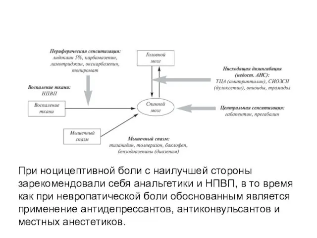 При ноцицептивной боли с наилучшей стороны зарекомендовали себя анальгетики и