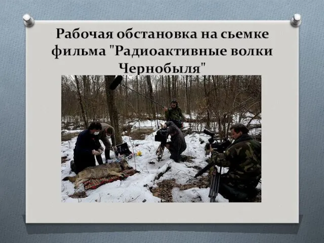 Рабочая обстановка на сьемке фильма "Радиоактивные волки Чернобыля"