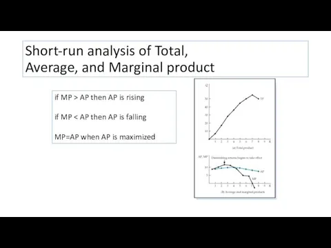 Short-run analysis of Total, Average, and Marginal product if MP