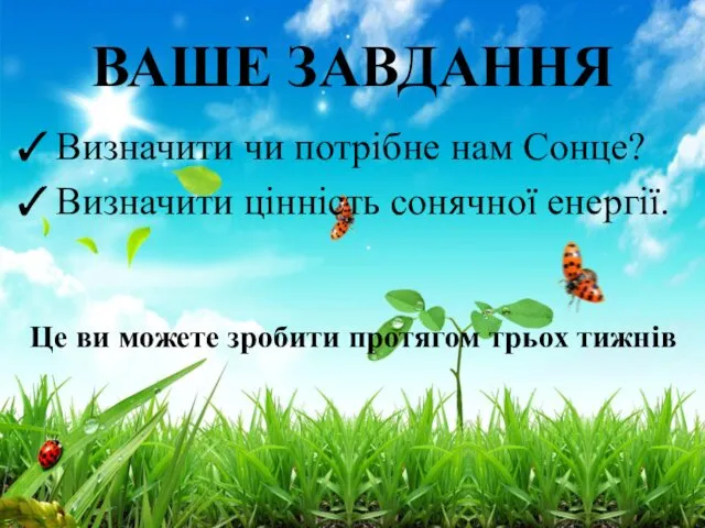 ВАШЕ ЗАВДАННЯ Визначити чи потрібне нам Сонце? Визначити цінність сонячної