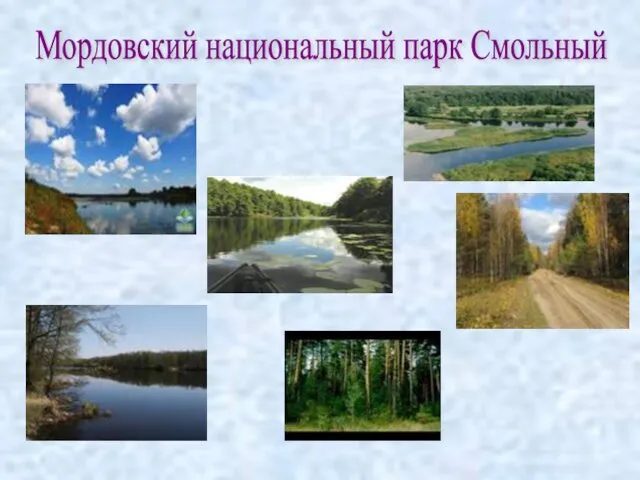 Мордовский национальный парк Смольный