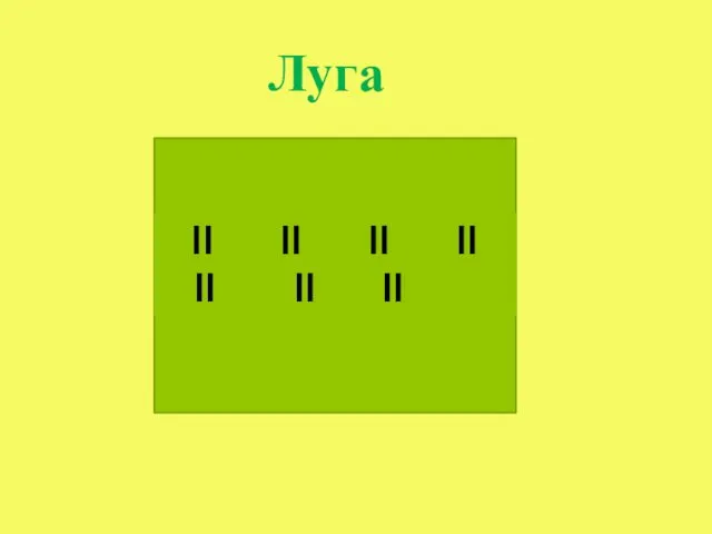 Луга II II II II II II II