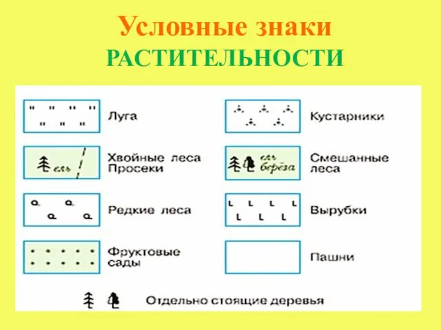 Условные знаки РАСТИТЕЛЬНОСТИ