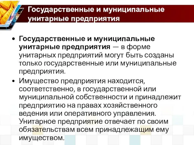 Государственные и муниципальные унитарные предприятия Государственные и муниципальные унитарные предприятия