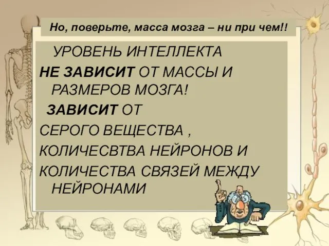 Но, поверьте, масса мозга – ни при чем!! УРОВЕНЬ ИНТЕЛЛЕКТА