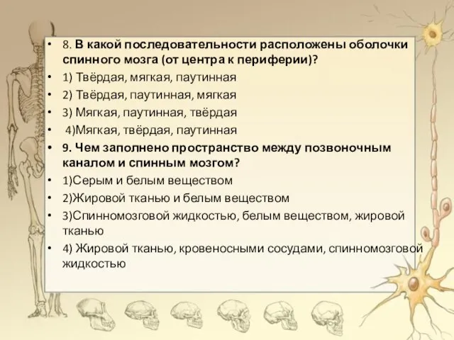 8. В какой последовательности расположены оболочки спинного мозга (от центра