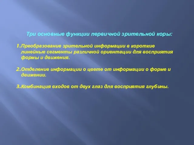 Три основные функции первичной зрительной коры: Преобразование зрительной информации в короткие линейные сегменты