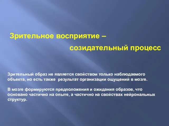 Зрительное восприятие – созидательный процесс Зрительный образ не является свойством только наблюдаемого объекта,