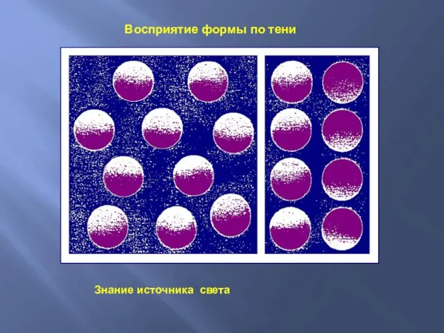 Восприятие формы по тени Знание источника света