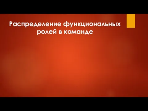 Распределение функциональных ролей в команде