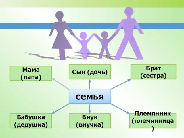 семья Сын (дочь) Брат (сестра) Племянник (племянница) Внук (внучка) Бабушка (дедушка) Мама (папа)