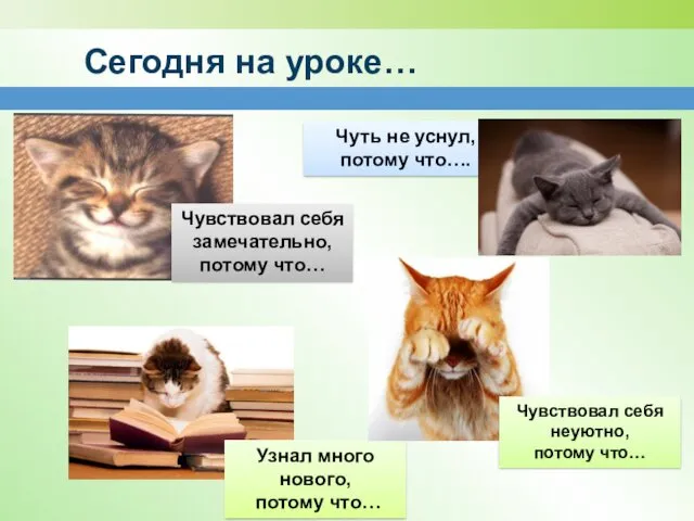 Сегодня на уроке… Чуть не уснул, потому что…. Чувствовал себя