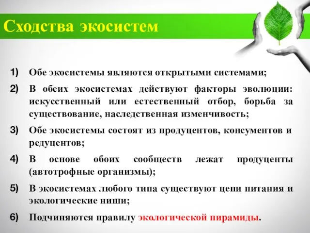 Сходства экосистем Обе экосистемы являются открытыми системами; В обеих экосистемах