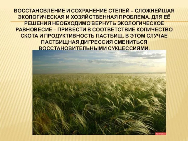 ВОССТАНОВЛЕНИЕ И СОХРАНЕНИЕ СТЕПЕЙ – СЛОЖНЕЙШАЯ ЭКОЛОГИЧЕСКАЯ И ХОЗЯЙСТВЕННАЯ ПРОБЛЕМА.