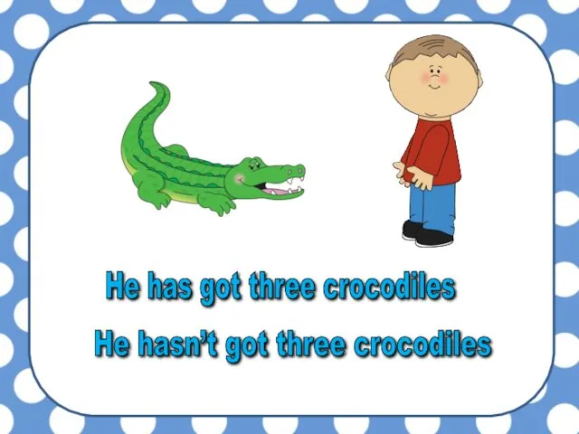 He hasn’t got three crocodiles He has got three crocodiles
