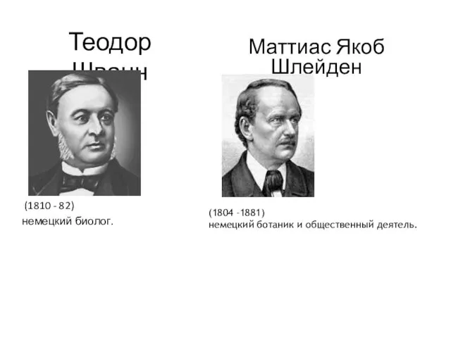 Теодор Шванн (1810 - 82) немецкий биолог. Маттиас Якоб Шлейден