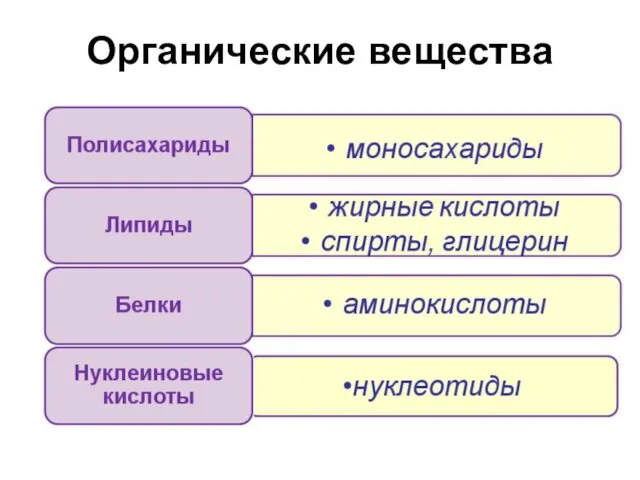 Органические вещества