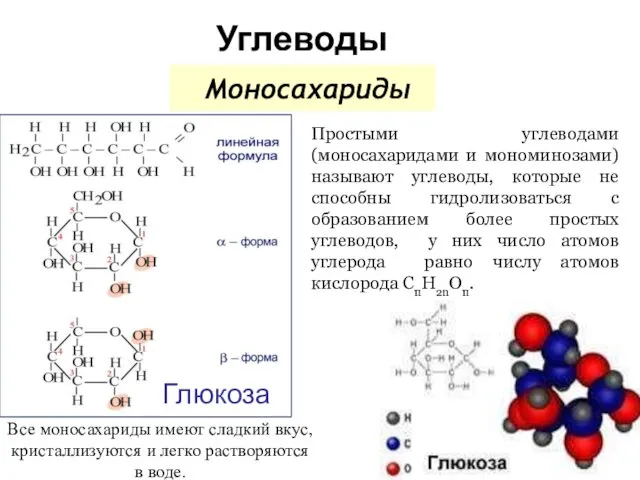 Углеводы Глюкоза Моносахариды Простыми углеводами (моносахаридами и мономинозами) называют углеводы,