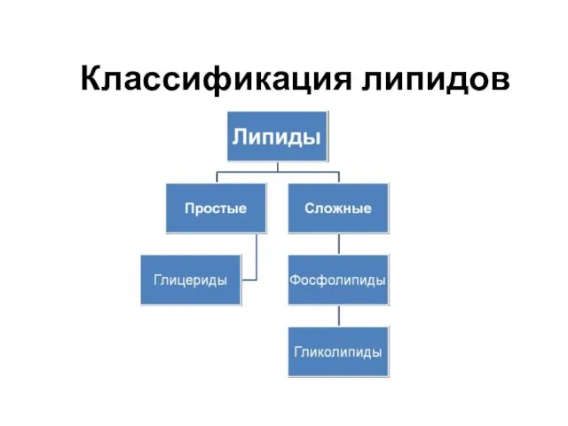 Классификация липидов