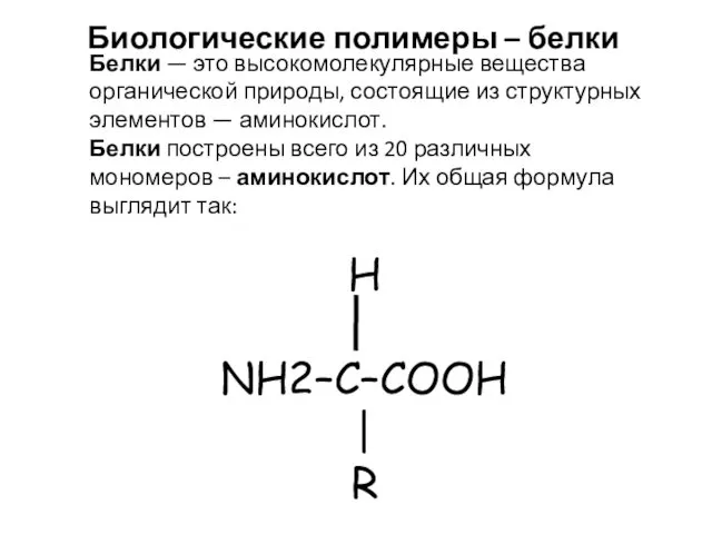 Биологические полимеры – белки Белки — это высокомолекулярные вещества органической