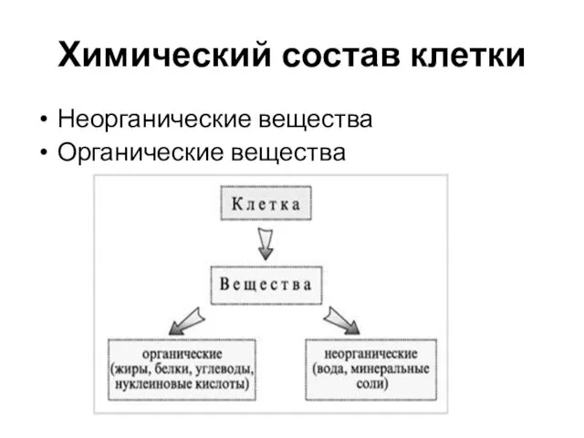 Химический состав клетки Неорганические вещества Органические вещества