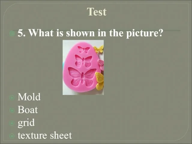 Test 5. What is shown in the picture? Mold Boat grid texture sheet