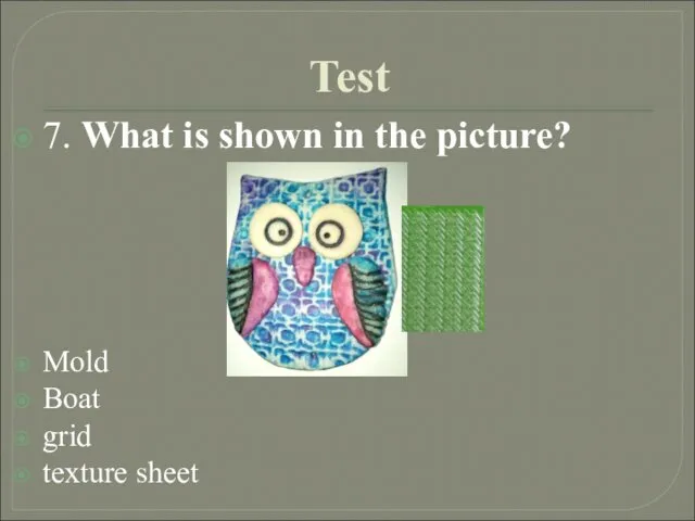 Test 7. What is shown in the picture? Mold Boat grid texture sheet