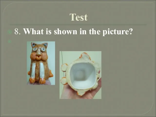 Test 8. What is shown in the picture?