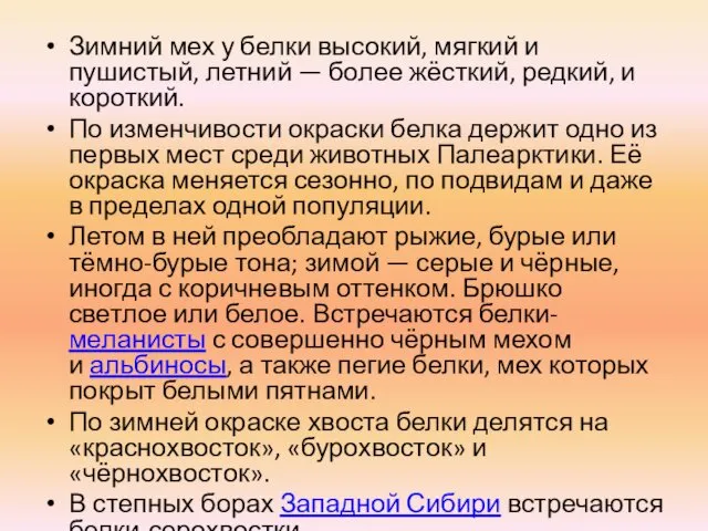 Зимний мех у белки высокий, мягкий и пушистый, летний —