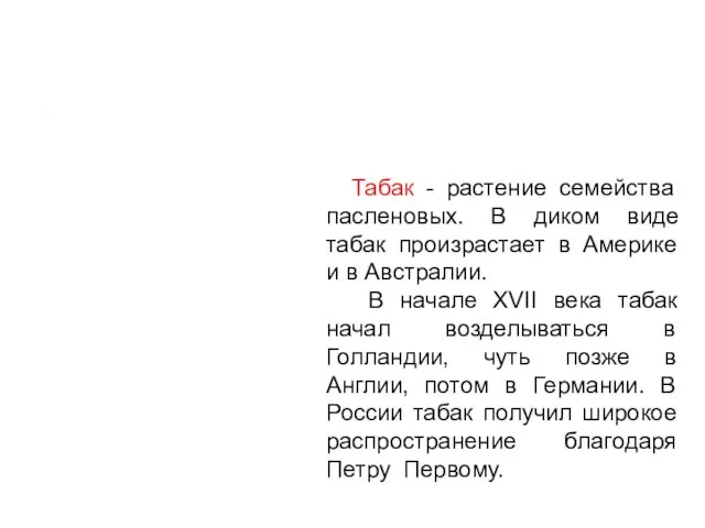 Табак - растение семейства пасленовых. В диком виде табак произрастает