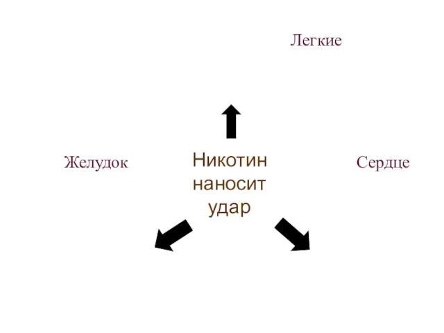 Никотин наносит удар Легкие Желудок Сердце