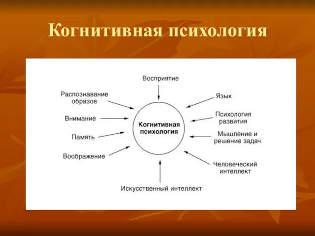 Когнитивная психология