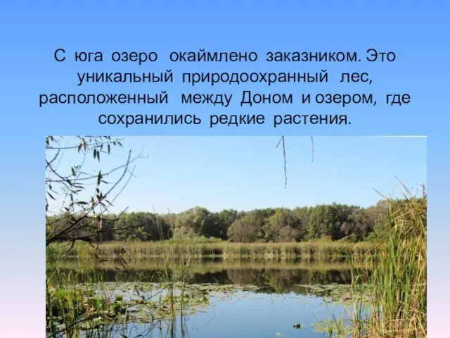 С юга озеро окаймлено заказником. Это уникальный природоохранный лес, расположенный