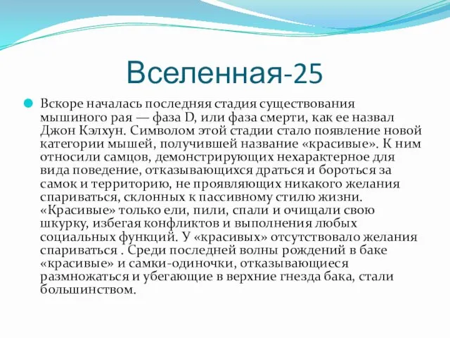 Вселенная-25 Вскоре началась последняя стадия существования мышиного рая — фаза