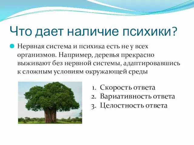 Что дает наличие психики? Нервная система и психика есть не