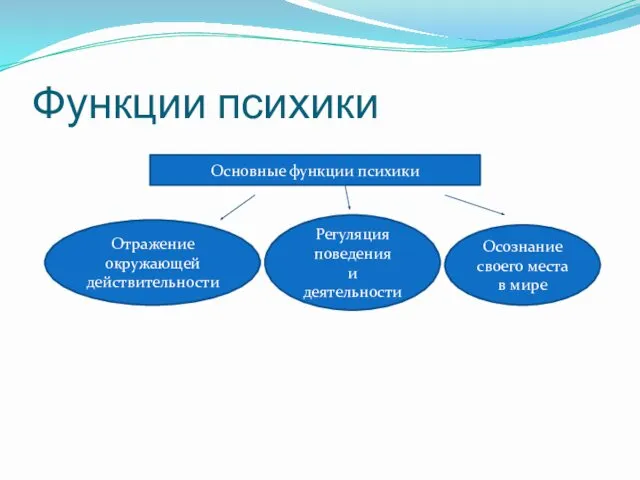 Функции психики Основные функции психики Отражение окружающей действительности Регуляция поведения