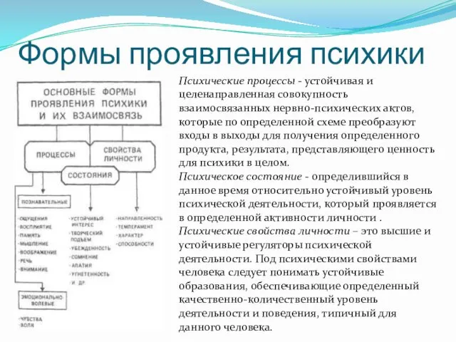 Формы проявления психики Психические процессы - устойчивая и целенаправленная совокупность