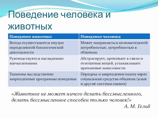 Поведение человека и животных «Животное не может ничего делать бессмысленного,