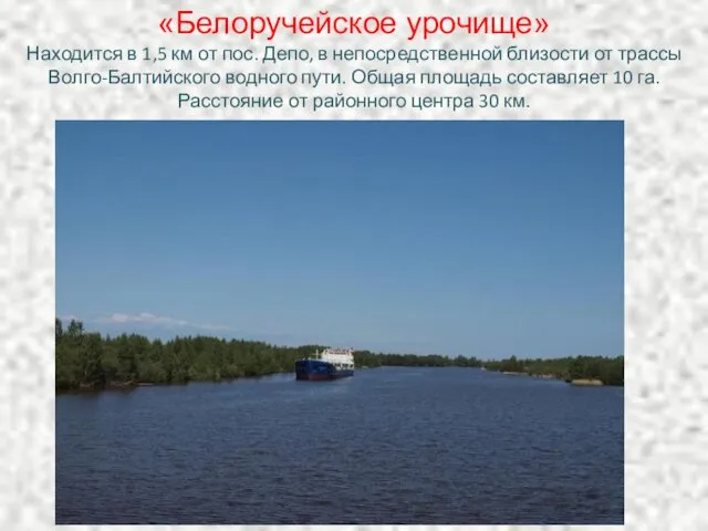 «Белоручейское урочище» Находится в 1,5 км от пос. Депо, в