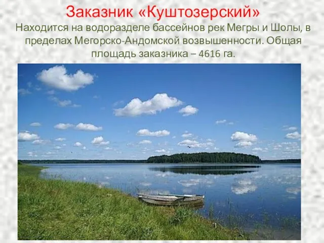 Заказник «Куштозерский» Находится на водоразделе бассейнов рек Мегры и Шолы,