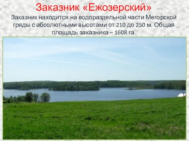 Заказник «Ежозерский» Заказник находится на водораздельной части Мегорской гряды с