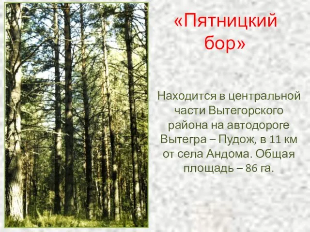 «Пятницкий бор» Находится в центральной части Вытегорского района на автодороге