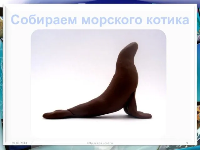 http://aida.ucoz.ru Собираем морского котика