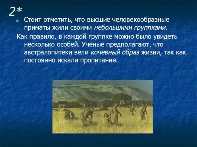 2* Стоит отметить, что высшие человекообразные приматы жили своими небольшими