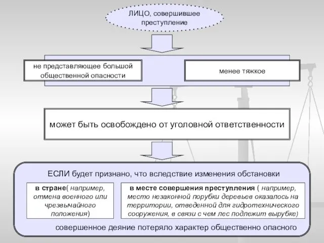 ЛИЦО, совершившее преступление может быть освобождено от уголовной ответственности не