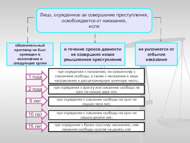 Лицо, осужденное за совершение преступления, освобождается от наказания, если обвинительный