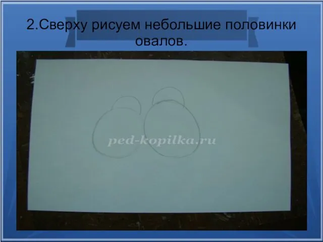 2.Сверху рисуем небольшие половинки овалов.