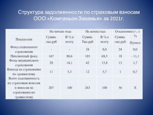 Структура задолженности по страховым взносам ООО «Компаньон Закамья» за 2021г.