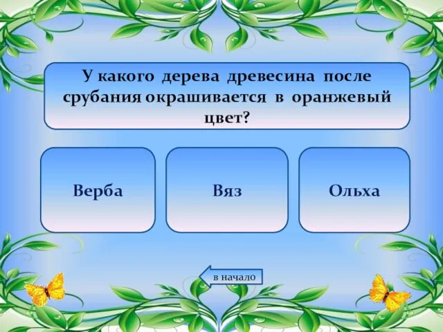 У какого дерева древесина после срубания окрашивается в оранжевый цвет? Верба Вяз Ольха в начало