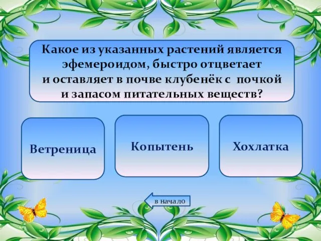 Какое из указанных растений является эфемероидом, быстро отцветает и оставляет в почве клубенёк